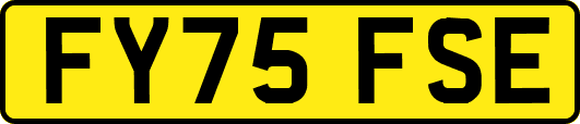 FY75FSE