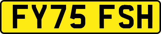 FY75FSH