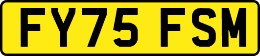 FY75FSM