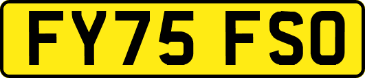 FY75FSO