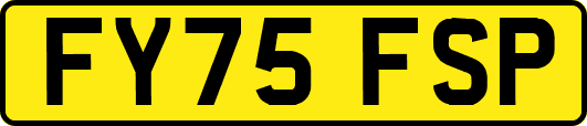 FY75FSP