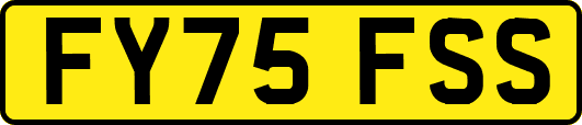 FY75FSS