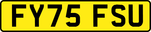FY75FSU