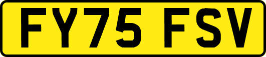FY75FSV