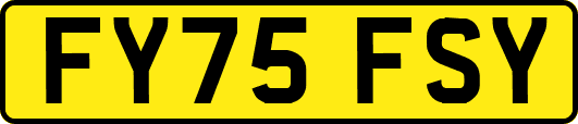 FY75FSY