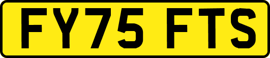 FY75FTS
