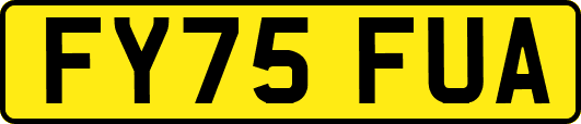 FY75FUA