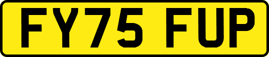 FY75FUP