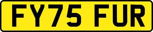 FY75FUR