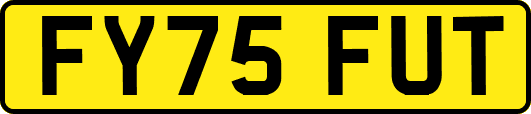 FY75FUT