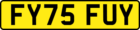 FY75FUY