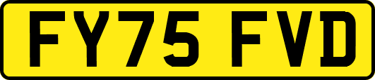 FY75FVD