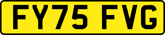 FY75FVG