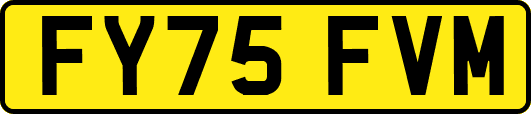 FY75FVM