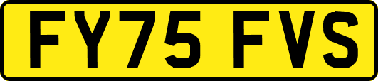 FY75FVS