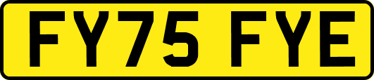FY75FYE