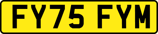 FY75FYM