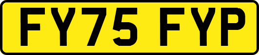 FY75FYP