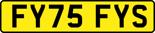 FY75FYS
