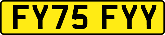 FY75FYY