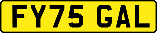 FY75GAL