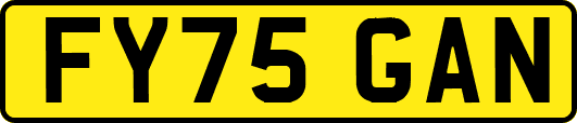 FY75GAN