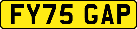 FY75GAP