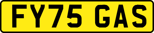 FY75GAS