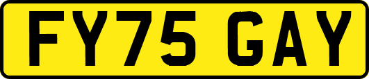 FY75GAY