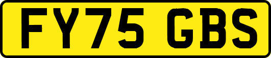 FY75GBS
