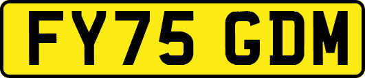 FY75GDM