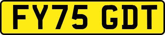 FY75GDT