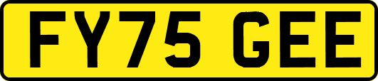 FY75GEE