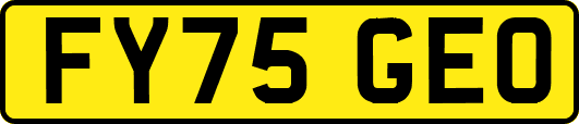 FY75GEO