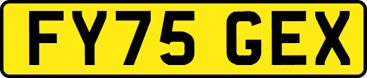 FY75GEX