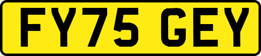 FY75GEY