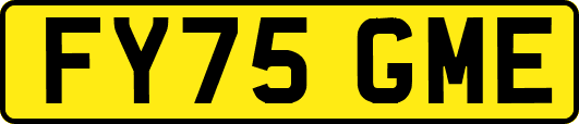 FY75GME