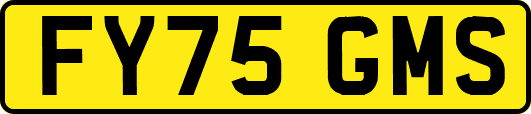 FY75GMS