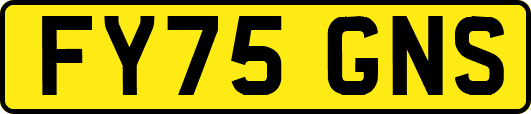 FY75GNS