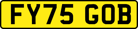 FY75GOB