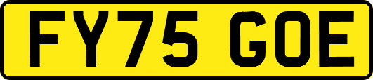 FY75GOE