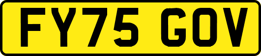 FY75GOV