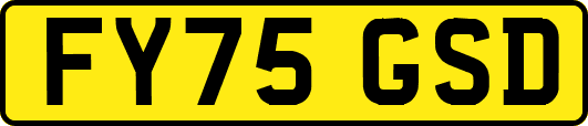 FY75GSD