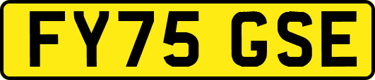 FY75GSE