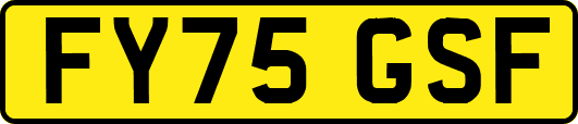 FY75GSF