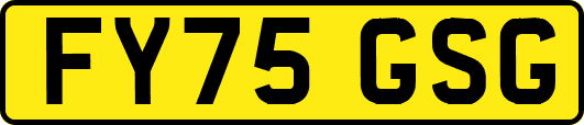 FY75GSG