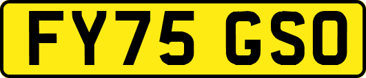 FY75GSO