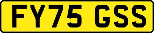 FY75GSS