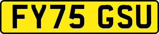 FY75GSU