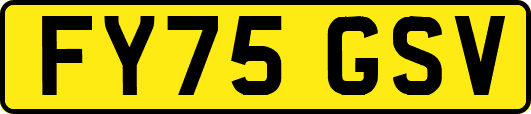 FY75GSV